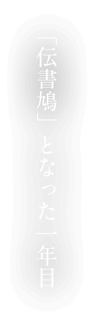 「伝書鳩」となった一年目